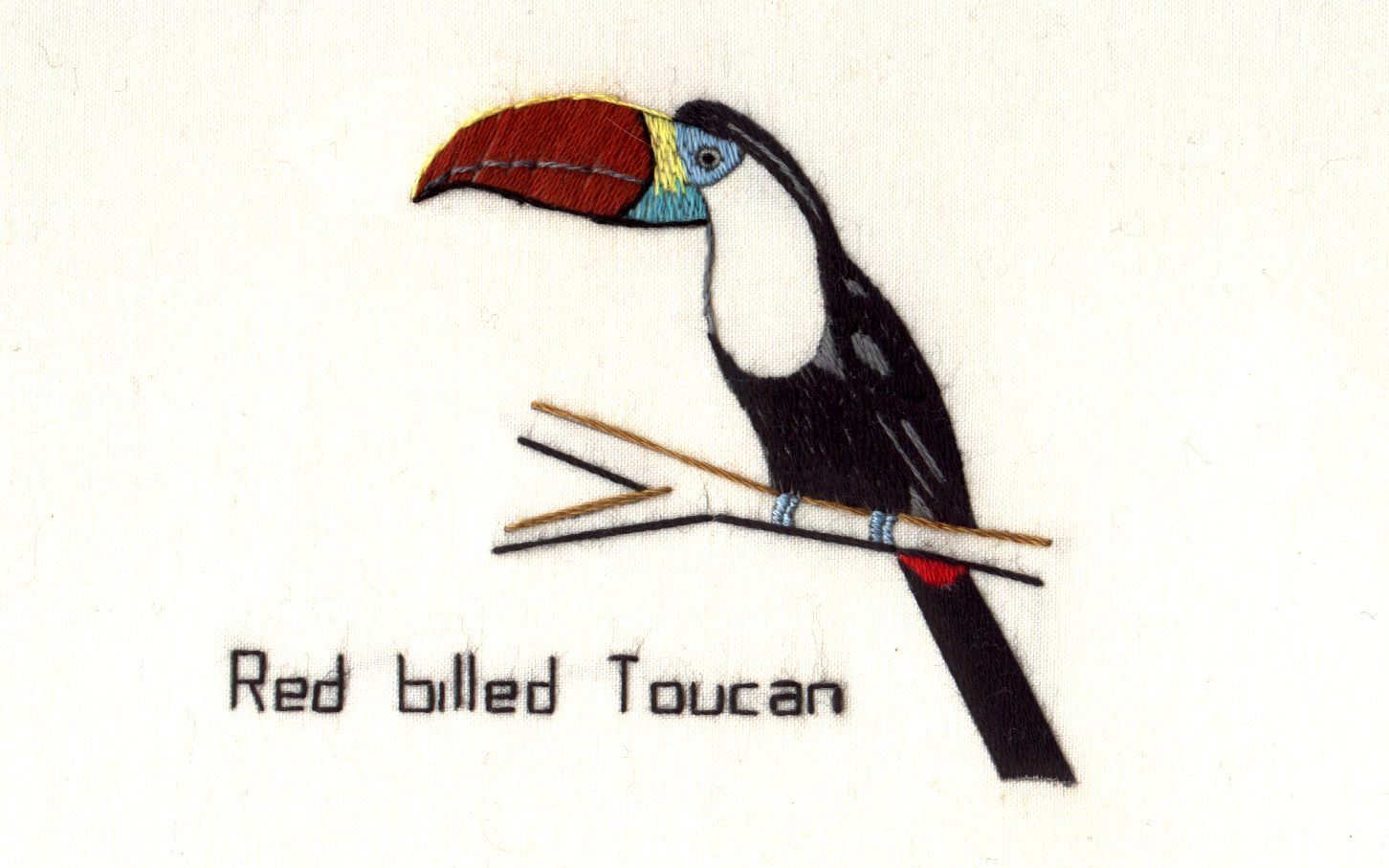 Red billed Toucan Kit