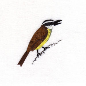 Great Kiskadee Workshop - Saturday  18 April 2026