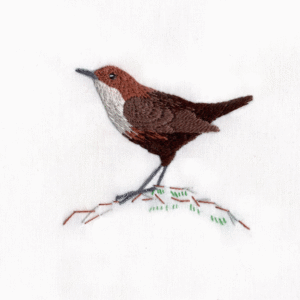 Dipper Workshop - Saturday 11 April 2026