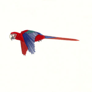 Red and Green Macaw