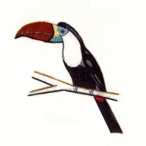 Red billed Toucan