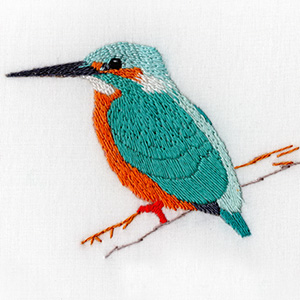 Kingfisher Workshop - Sunday 12 April 2026