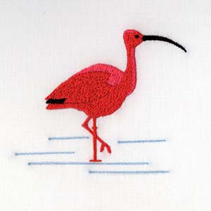 Scarlet Ibis (302)
