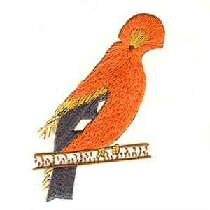 Guianan Cock-of-the-Rock (306)