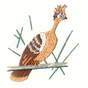 Hoatzin or Canjie Pheasant (308)