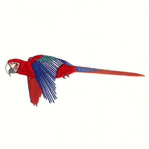 Red and Green Macaw (305)