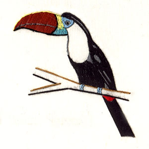 Red billed Toucan (307)